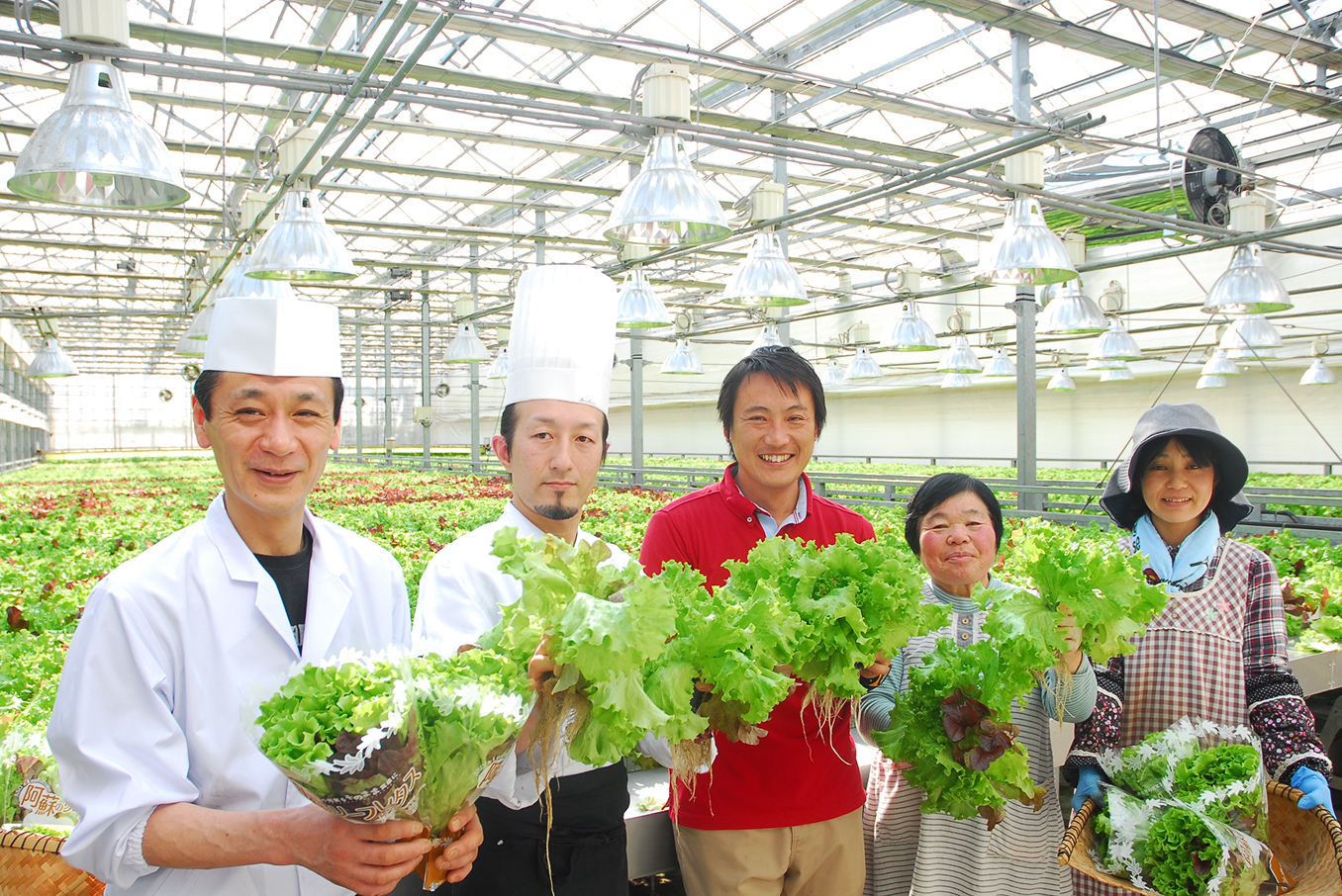 自社栽培による新鮮な野菜